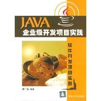 Java企业级开发项目实践pdf下载pdf下载