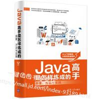 《Java高手是怎样炼成的原理方法与实践高永强java语言编程入门教程书籍高等院校》[23M]百度网盘|亲测有效|pdf下载