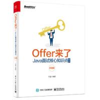 Offer来了：Java面试核心知识点精讲王磊pdf下载pdf下载