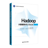 Hadoop大数据技术应用实践pdf下载pdf下载