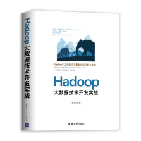 Hadoop大数据技术开发实战pdf下载