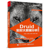 《Druid实时大数据分析原理与实践欧》[32M]百度网盘|亲测有效|pdf下载