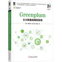 Greenplum-从大数据战略到实现pdf下载pdf下载
