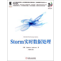 Storm实时数据处理pdf下载pdf下载