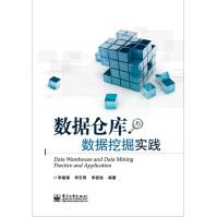《数据仓库与数据挖掘实践》[41M]百度网盘|亲测有效|pdf下载