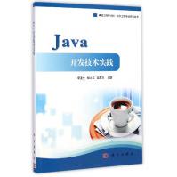 卓越工程师计划·软件工程专业系列丛书：Java开发技术实践pdf下载pdf下载