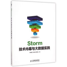 Storm技术内幕与大数据实践pdf下载pdf下载