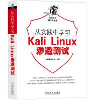 从实践中学习KaliLinux渗透测试pdf下载pdf下载