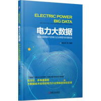 电力大数据能源互联网时代的电力企业转型与价值创造pdf下载pdf下载