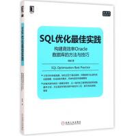 SQL优化*佳实践pdf下载pdf下载