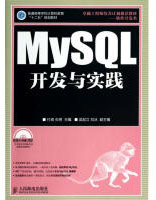 MySQL开发与实践pdf下载pdf下载