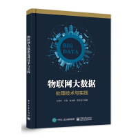 《物联网大数据处理技术与实践》[38M]百度网盘|亲测有效|pdf下载