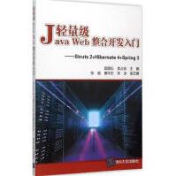 《轻量级JavaWeb整合开发入门》[59M]百度网盘|亲测有效|pdf下载