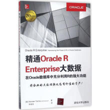 精通OracleREnterprise大数据pdf下载pdf下载