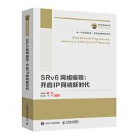 《国之重器出版工程SRv6网络编程：开启IP网络新时代》[45M]百度网盘|亲测有效|pdf下载