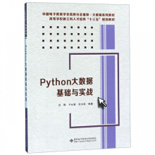 Python大数据基础与实战pdf下载pdf下载