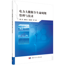 电力大数据全生命周期管理与技术pdf下载pdf下载