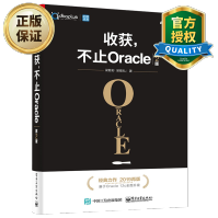 收获不止Oracle第2版sql数据库书籍sql优化方法改写技巧sql数据库优化教程书籍pdf下载pdf下载