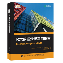 《R大数据分析实用指南》[28M]百度网盘|亲测有效|pdf下载