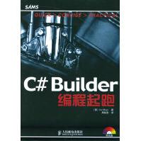 C#Builder编程起跑pdf下载pdf下载