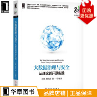 大数据治理与安全：从理论到开源实践计算机与互联网pdf下载pdf下载