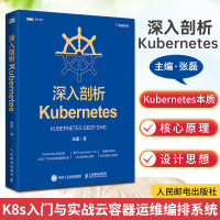深入剖析KubernetesK8s入门与实战云容器运维编排系统Kupdf下载pdf下载