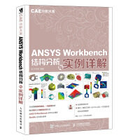 CAE分析大系ANSYSWorkbench结构分析与实例详解pdf下载pdf下载