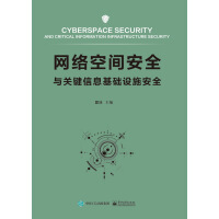 《网络空间安全与关键信息基础设施安全》[27M]百度网盘|亲测有效|pdf下载