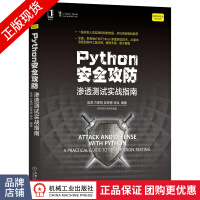 Python安全攻防:渗透测试实战指南网络空间安全技术丛书pdf下载pdf下载