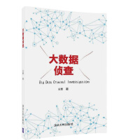 大数据侦查王燃著“大数据王”的个人专著大数据侦查技术方法教程书籍大数据pdf下载pdf下载