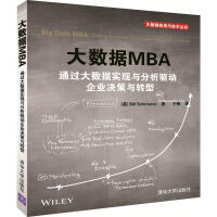大数据MBA通过大数据实现与分析驱动企业决策与转型pdf下载pdf下载