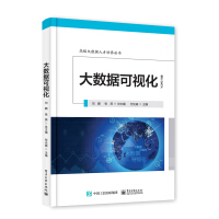 《大数据可视化——高级大数据人才培养丛书》[35M]百度网盘|亲测有效|pdf下载