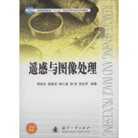 《遥感与图像处理》[52M]百度网盘|亲测有效|pdf下载