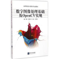 《数字图像处理基础及OpenCV实现》[49M]百度网盘|亲测有效|pdf下载