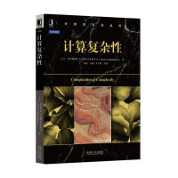 《计算复杂性计算机算法教程书籍逻辑学密码学计算机问题与算法书籍NP完全问题P内部的计算》[43M]百度网盘|亲测有效|pdf下载