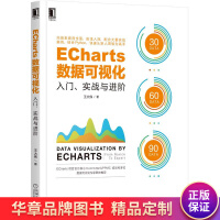 ECharts数据可视化:入门、实战与进阶王大伟pdf下载pdf下载