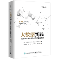 《大数据实践：家知名企业超凡入圣的真实案例》[49M]百度网盘|亲测有效|pdf下载
